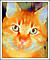 Orange Cat E Card