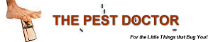 The Pest Doctor Logo